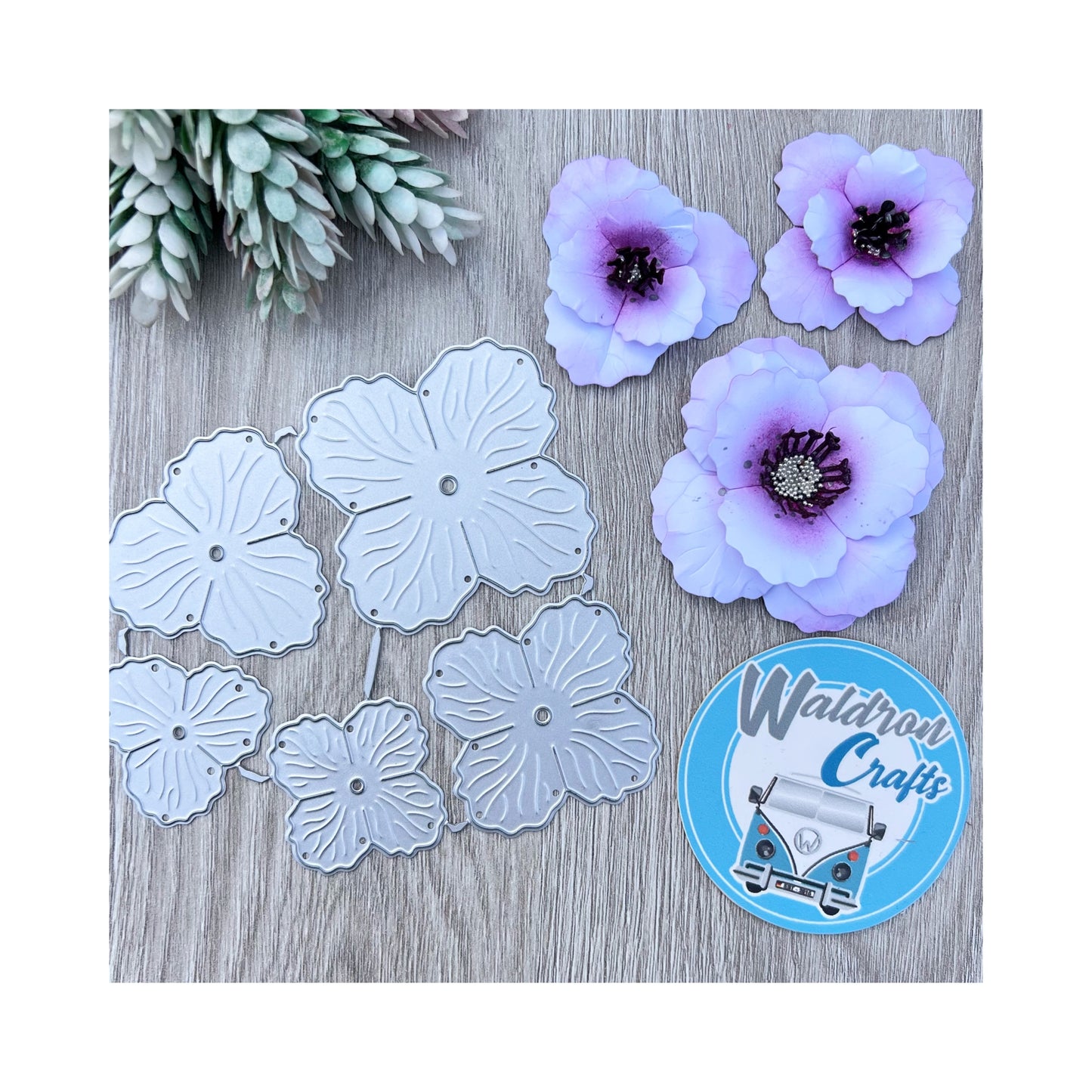 Flower Die 5 Pcs