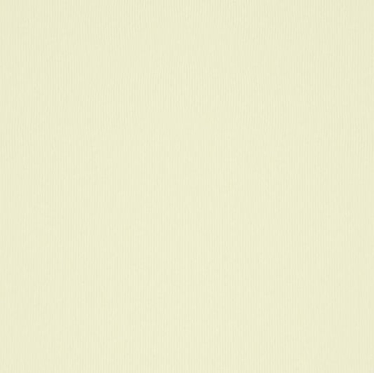 Cartulina Básica Italiana