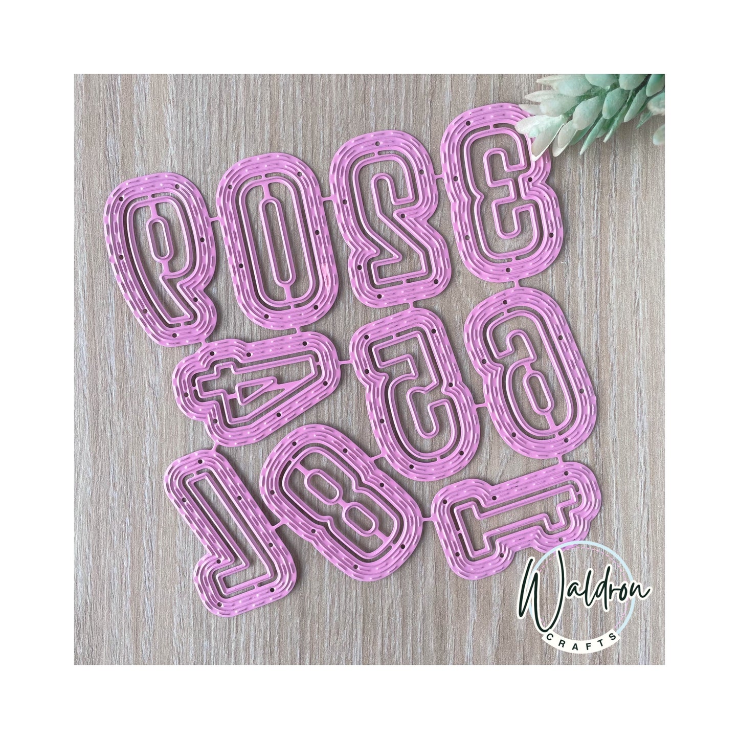 Troquel Números + Fondo