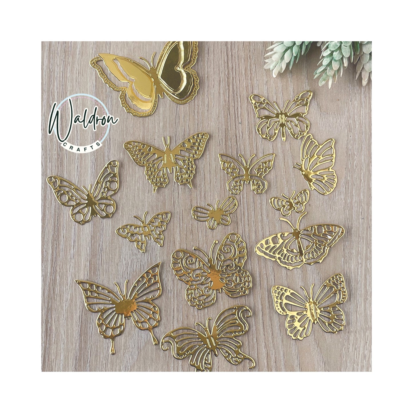 Butterfly butterfly x 15