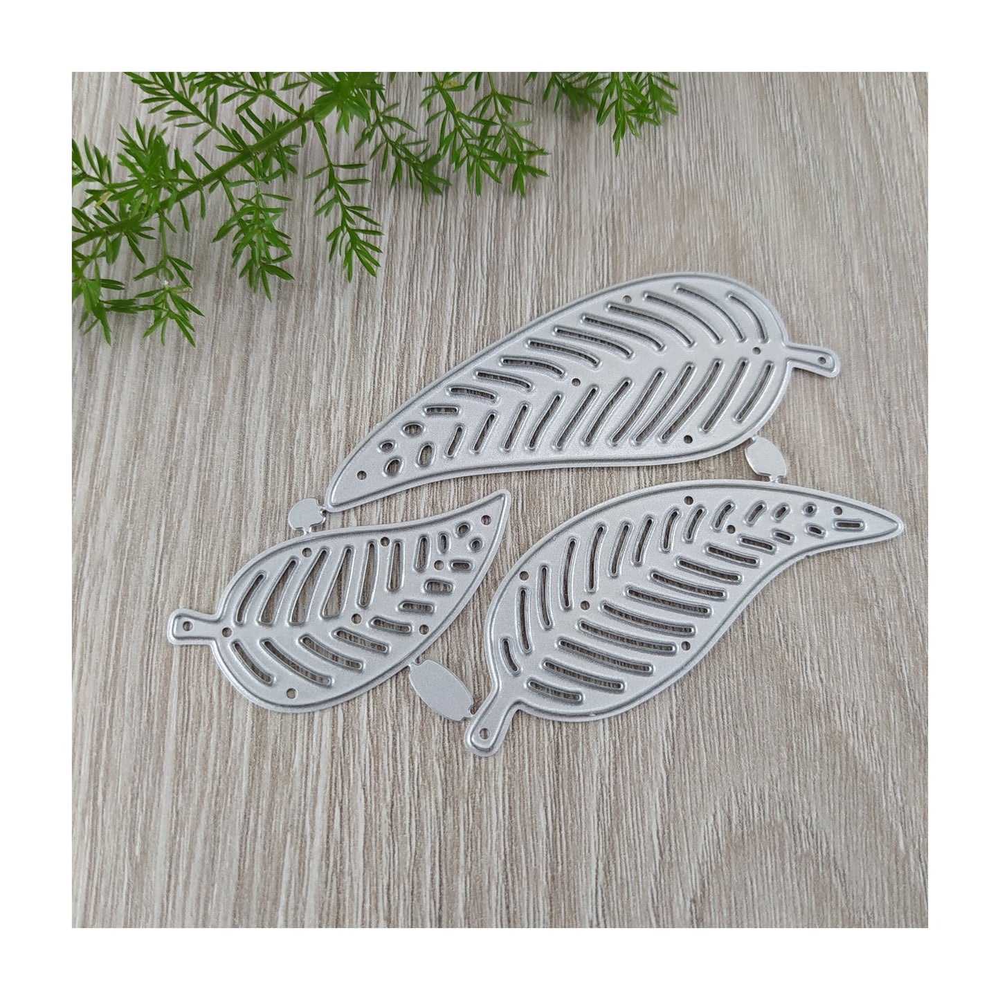 Troquel Set de Hojas x 3..