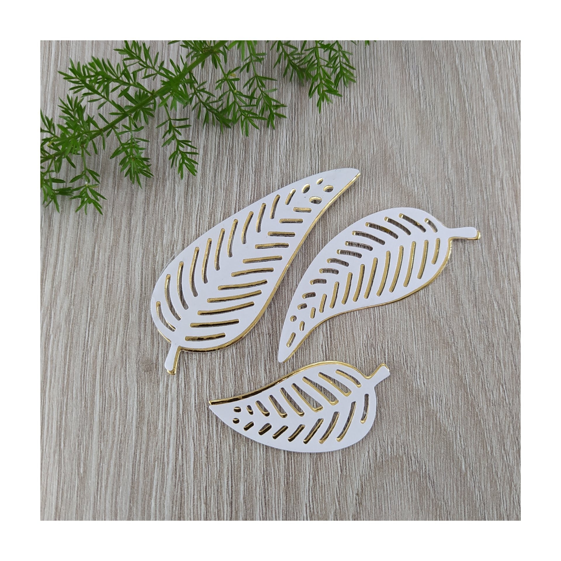 Troquel Set de Hojas x 3..