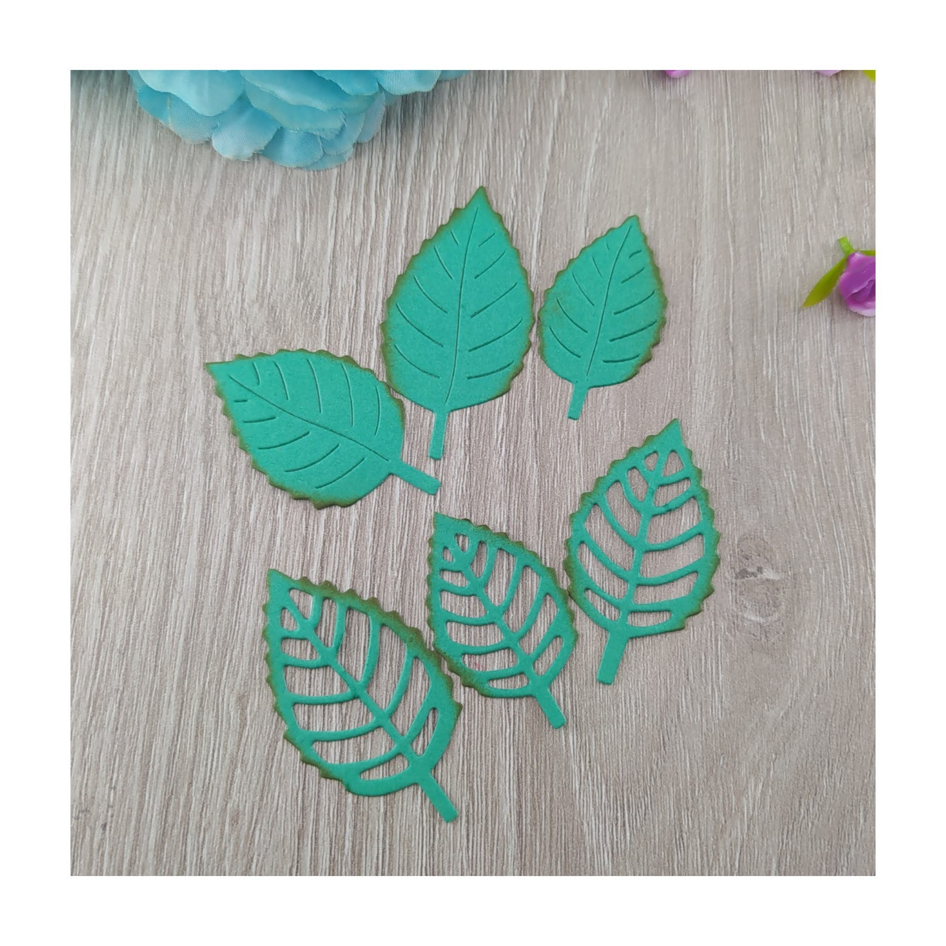 Troquel Set de Hojas X6.
